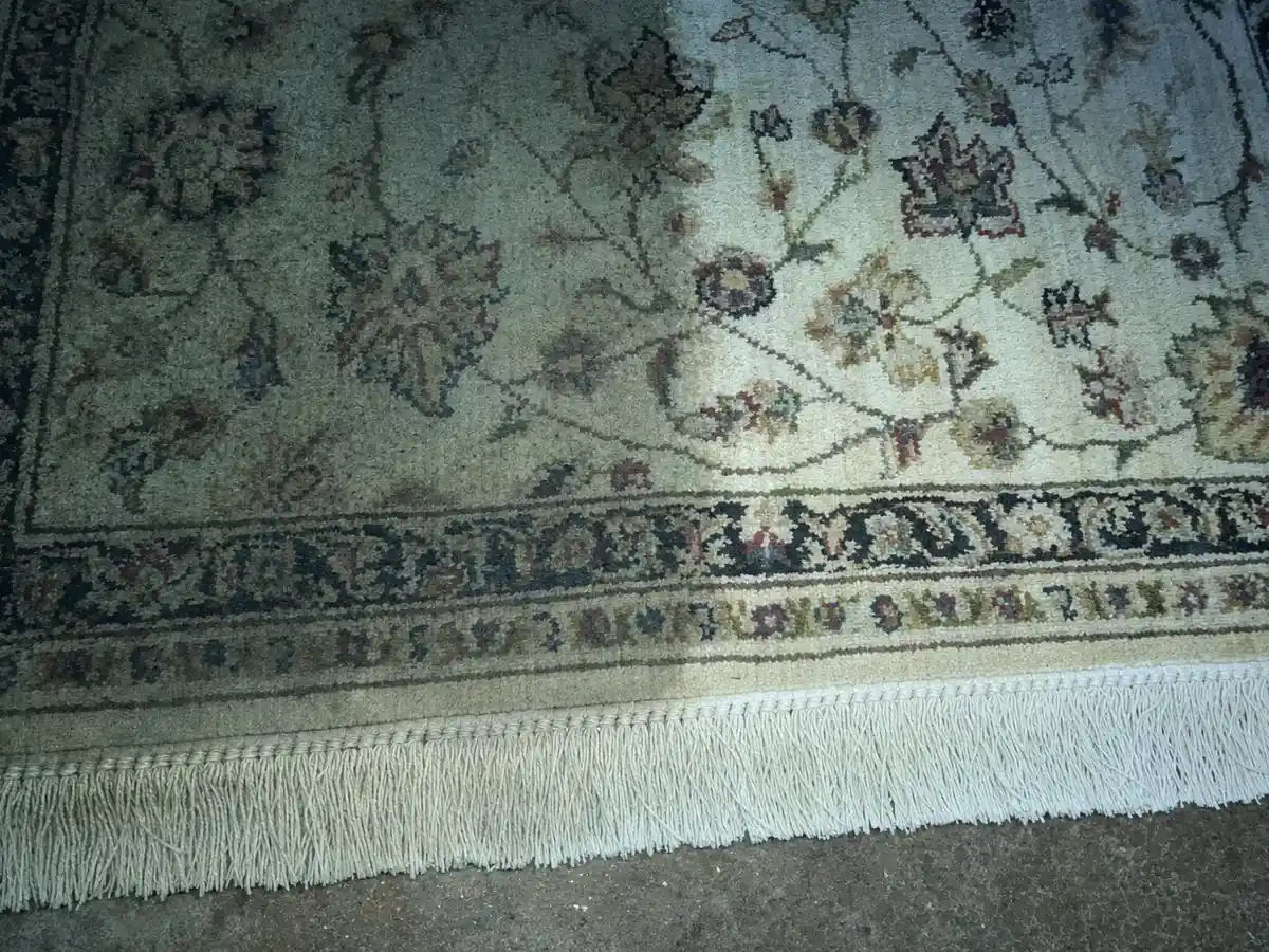 Rug Cleaning in Torrance, CA