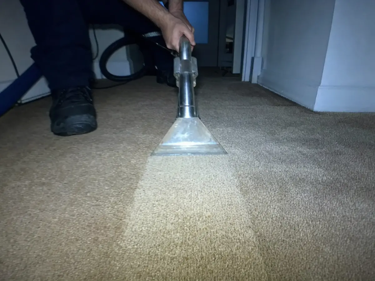 Steam Carpet Cleaning in Torrance, CA